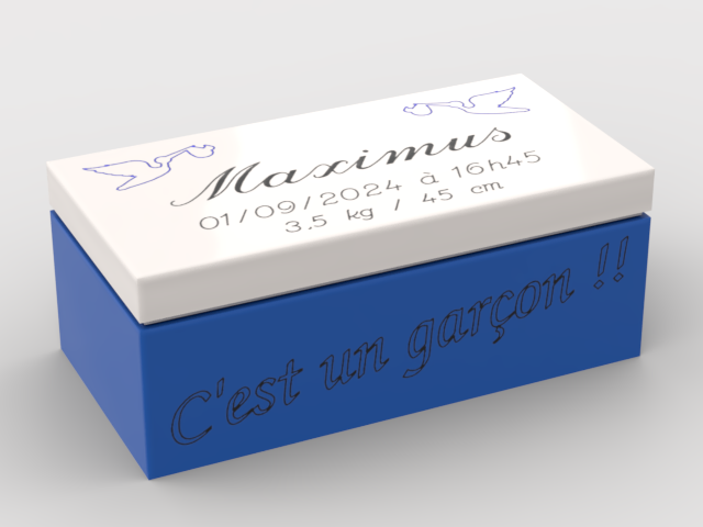 Faire-part de naissance v1 - Garçon La Fra'brick